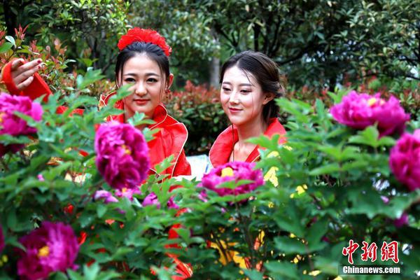 Dinkum风车需要什么许可证