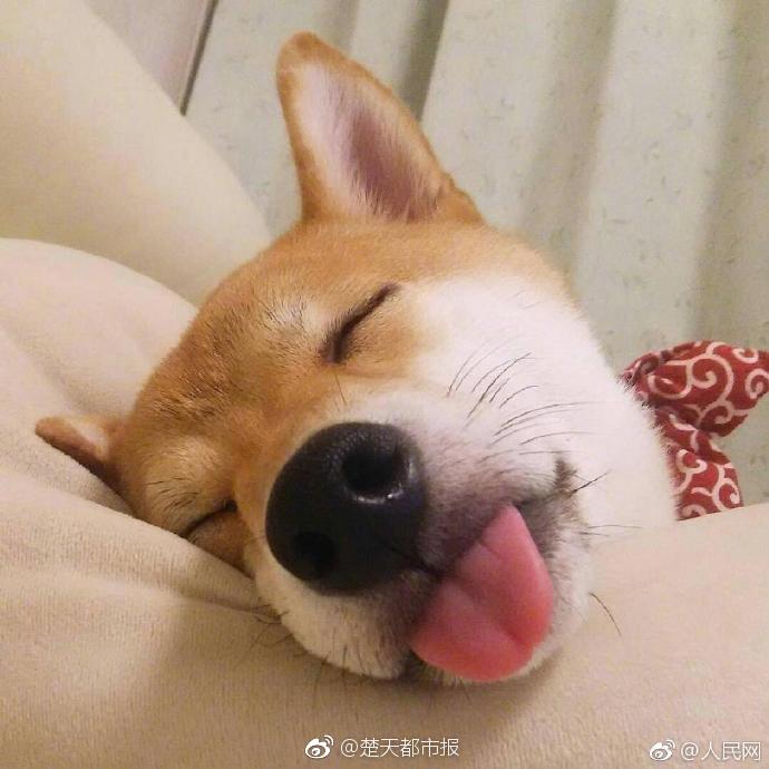 尼尔人工生命复制体全支线任务图文攻略